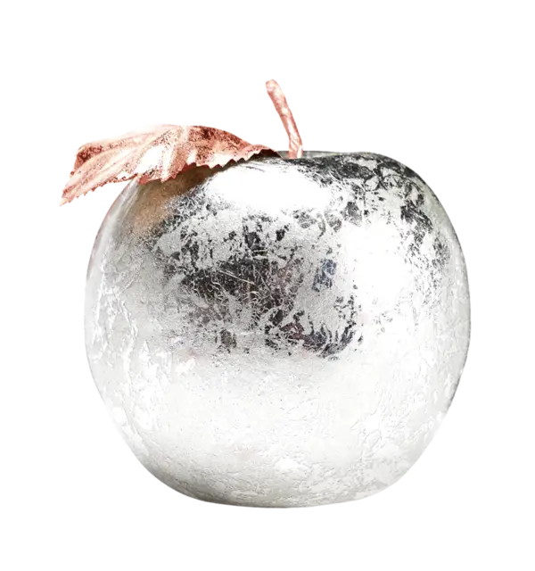 Single Silver Apple PNG No Background