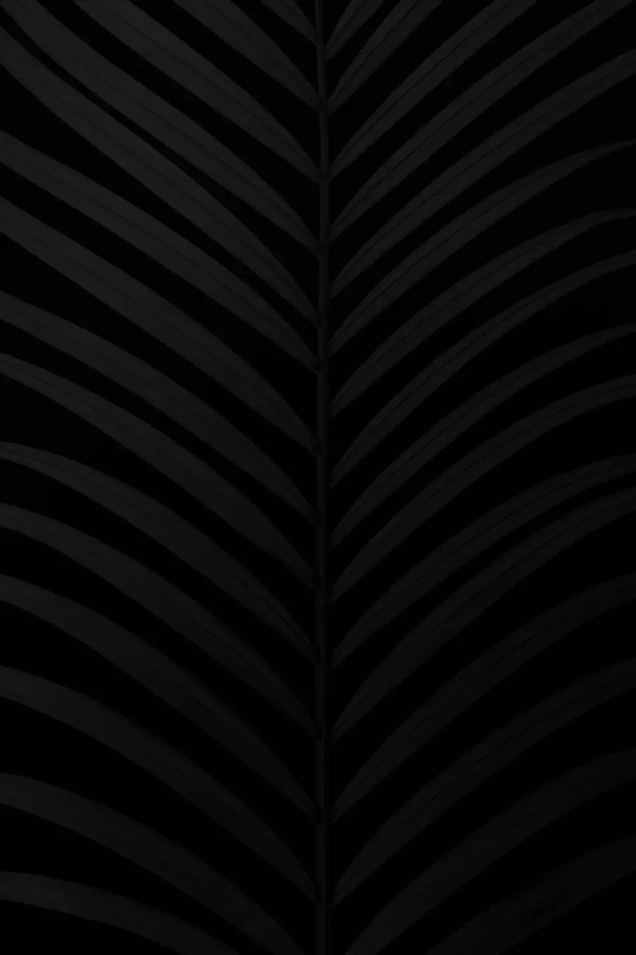 Pure Black Wallpaper