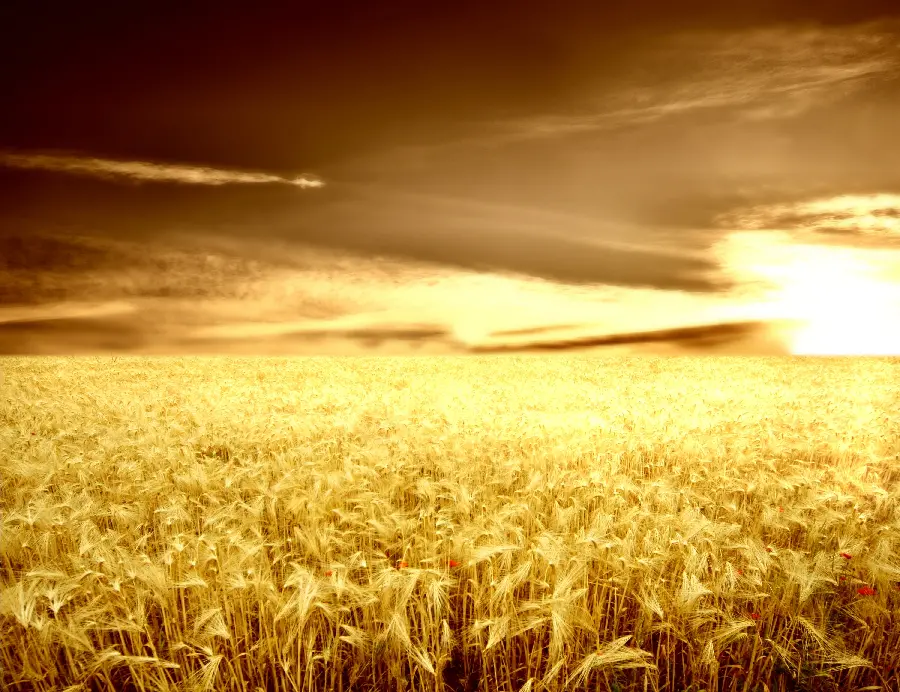 Nature images - Nature photos - Natural photos