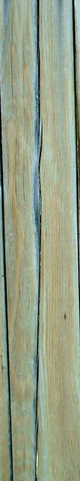 Download free texture of wood plank
