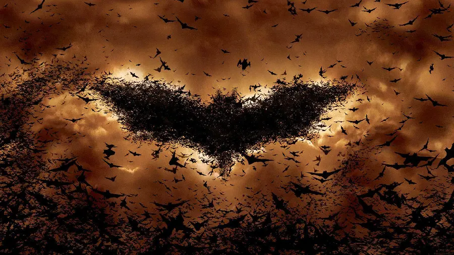 Batman Bat Photo