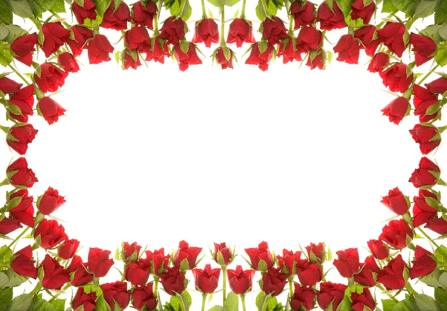 Red Rose Frame and Box for Writing Text
