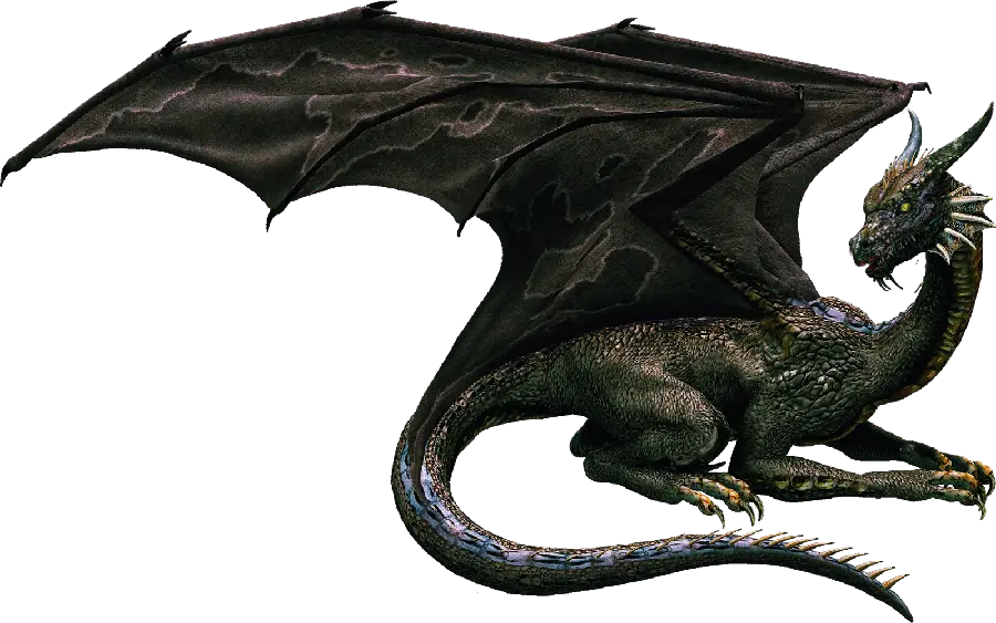 Beautiful photo of a dragon in PNG format
