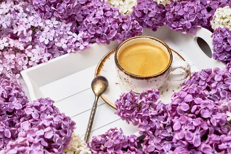 Purple Flowers Wallpaper with Spring Coffee