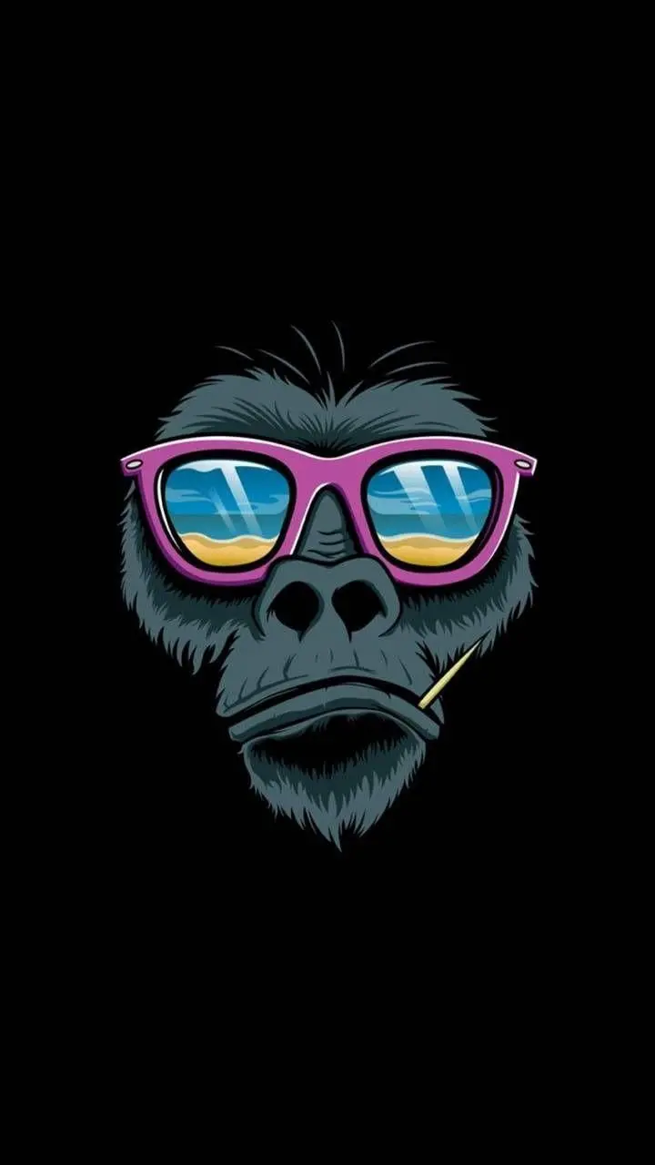 Beautiful and funny monkey wallpaper