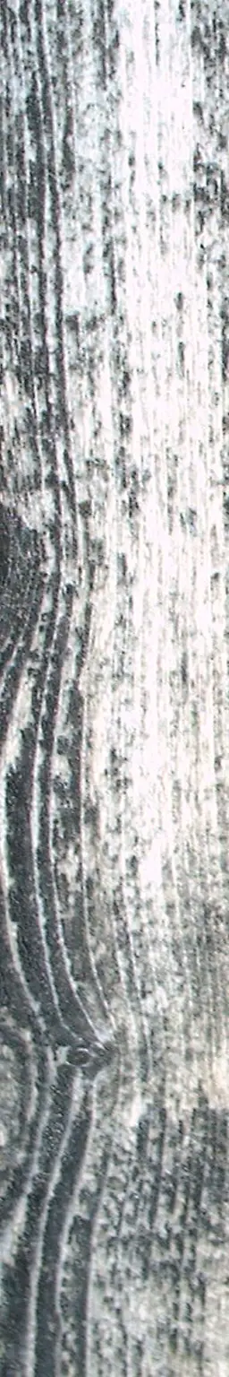 High quality photo of wooden board with dark lines