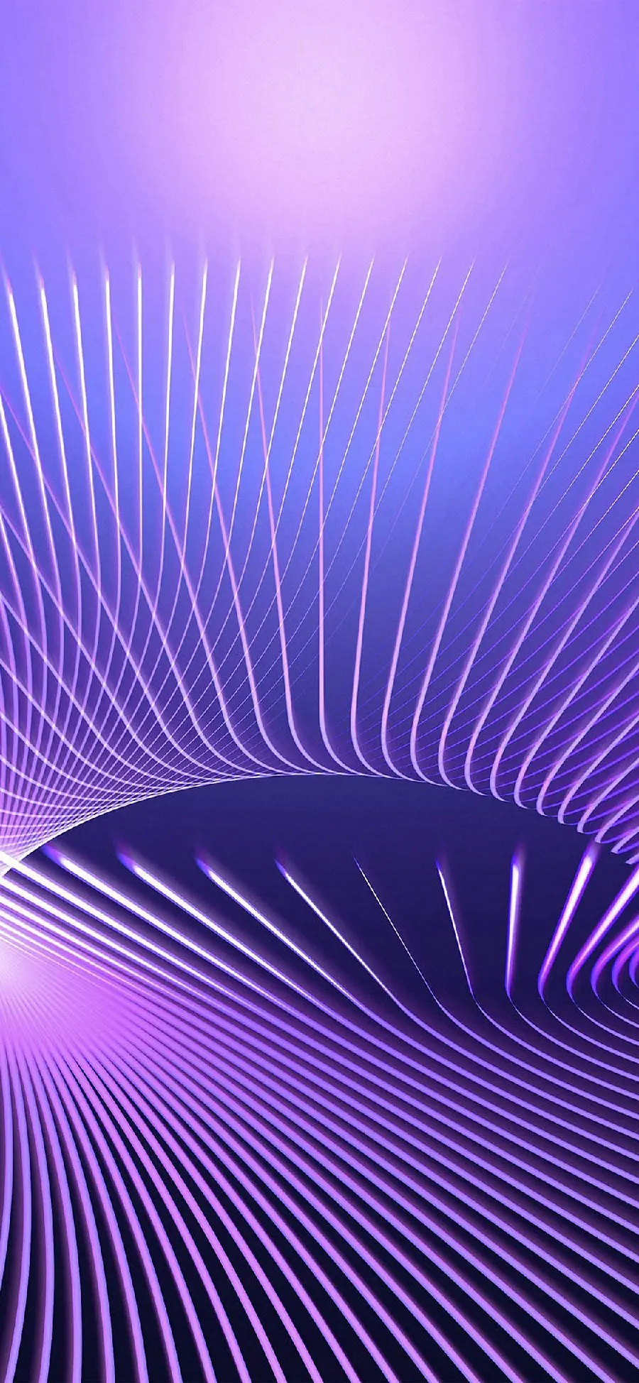 Lavender Purple Wallpaper