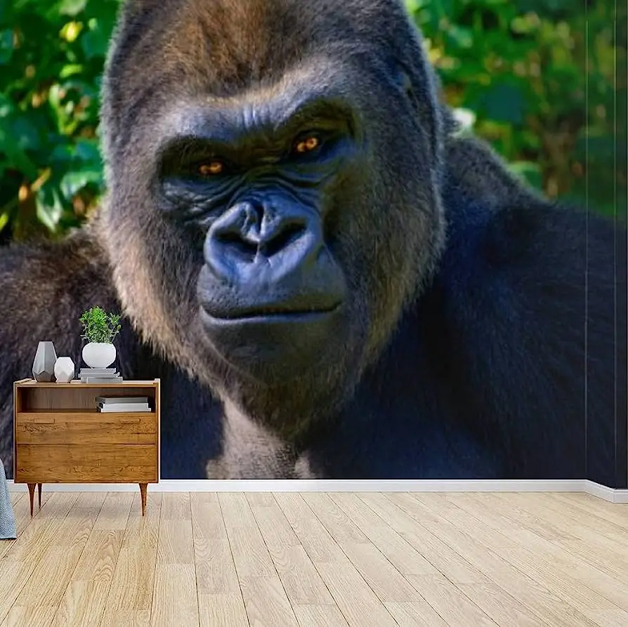 Silverback gorilla photo print sample