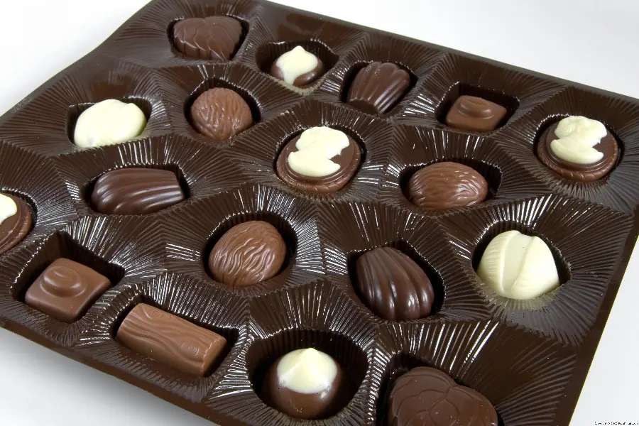 High Quality Cocoa and Chocolate Photo