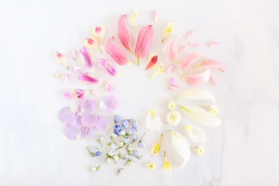 Spring pastel