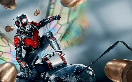 Ant-Man and Wasp HD wallpapers and backgrounds collection